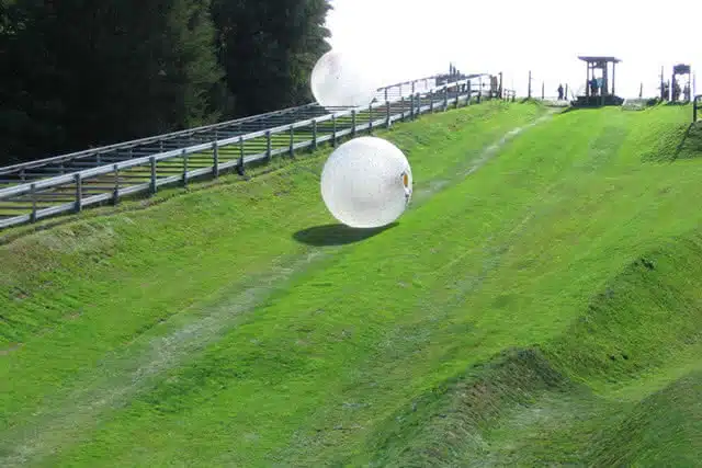 Image of people 'zorbing' down a hill in Rotorua, New Zealand