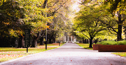 A serene pathway through Queens Park with trees on both sides and autumn leaves on the ground.