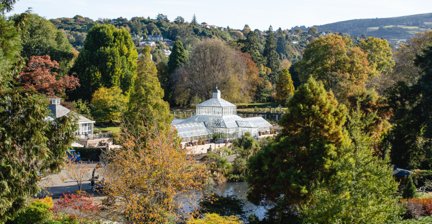 Botanic gardens with a glasshouse surrounded by autumn foliage