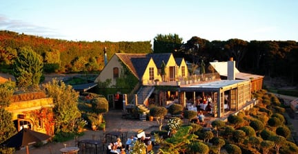 Scenic vineyard restaurant with outdoor seating at sunset