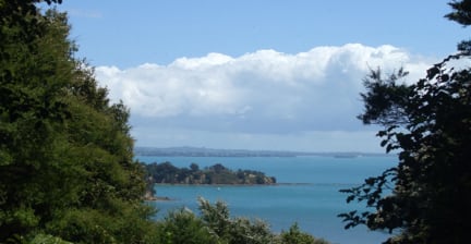 View of the ocean framed by trees with a distant shoreline