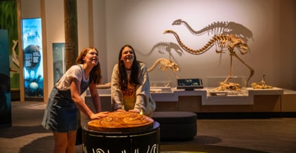 Two people enjoying an interactive exhibit in front of dinosaur skeletons