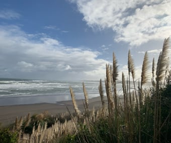 Coastal view with tall grasses and waves hitting the shore under a partly cloudy sky