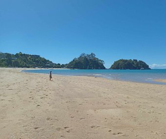 Golden sandy beach with clear blue water