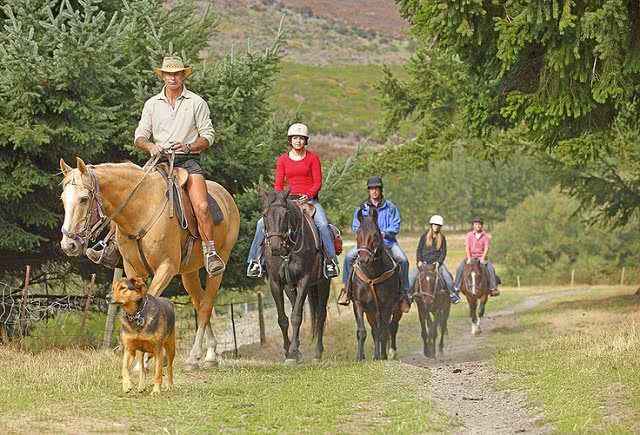 Horse Trekking with Real Journeys at Walter Peak High Country Park