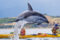 A dolphin jumping out of the water with two kayakers in the background